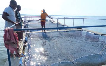 𝐏𝐢𝐬𝐜𝐢𝐜𝐮𝐥𝐭𝐮𝐫𝐞 : 𝐥𝐞𝐬 𝐜𝐚𝐠𝐞𝐬 𝐟𝐥𝐨𝐭𝐭𝐚𝐧𝐭𝐞𝐬 𝐫𝐞́𝐚𝐥𝐢𝐬𝐞́𝐞𝐬 𝐩𝐚𝐫 𝐥𝐞 𝟐𝐏𝐀𝐈-𝐁𝐞́𝐥𝐢𝐞𝐫