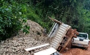Route Aboisso-Bianouan : un camion Kia chargé de latex d’hévéa a chaviré sur une colline