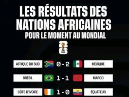 Premiers rugissements africains au Mondial