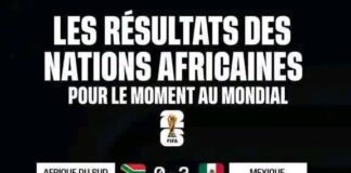Premiers rugissements africains au Mondial