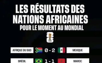 Premiers rugissements africains au Mondial