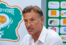 Football : Hervé Renard démarre avec les Éléphants le 24 septembre face au Ghana
