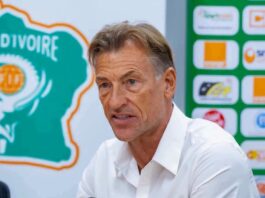 Football : Hervé Renard démarre avec les Éléphants le 24 septembre face au Ghana