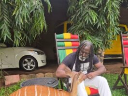 TIKEN JAH FAKOLY : PLUS DE 150 DATES, UNE VOIX AFRICAINE QUI RÉSONNE AUX QUATRE COINS DU MONDE